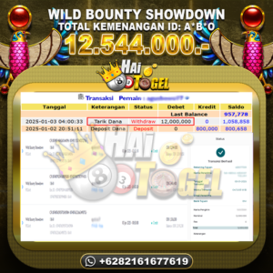 Read more about the article HAITOGEL SLOT GACOR PASTI TERBUKTI WILD BOUNTY SHOWDOWN RP. 12.544.000